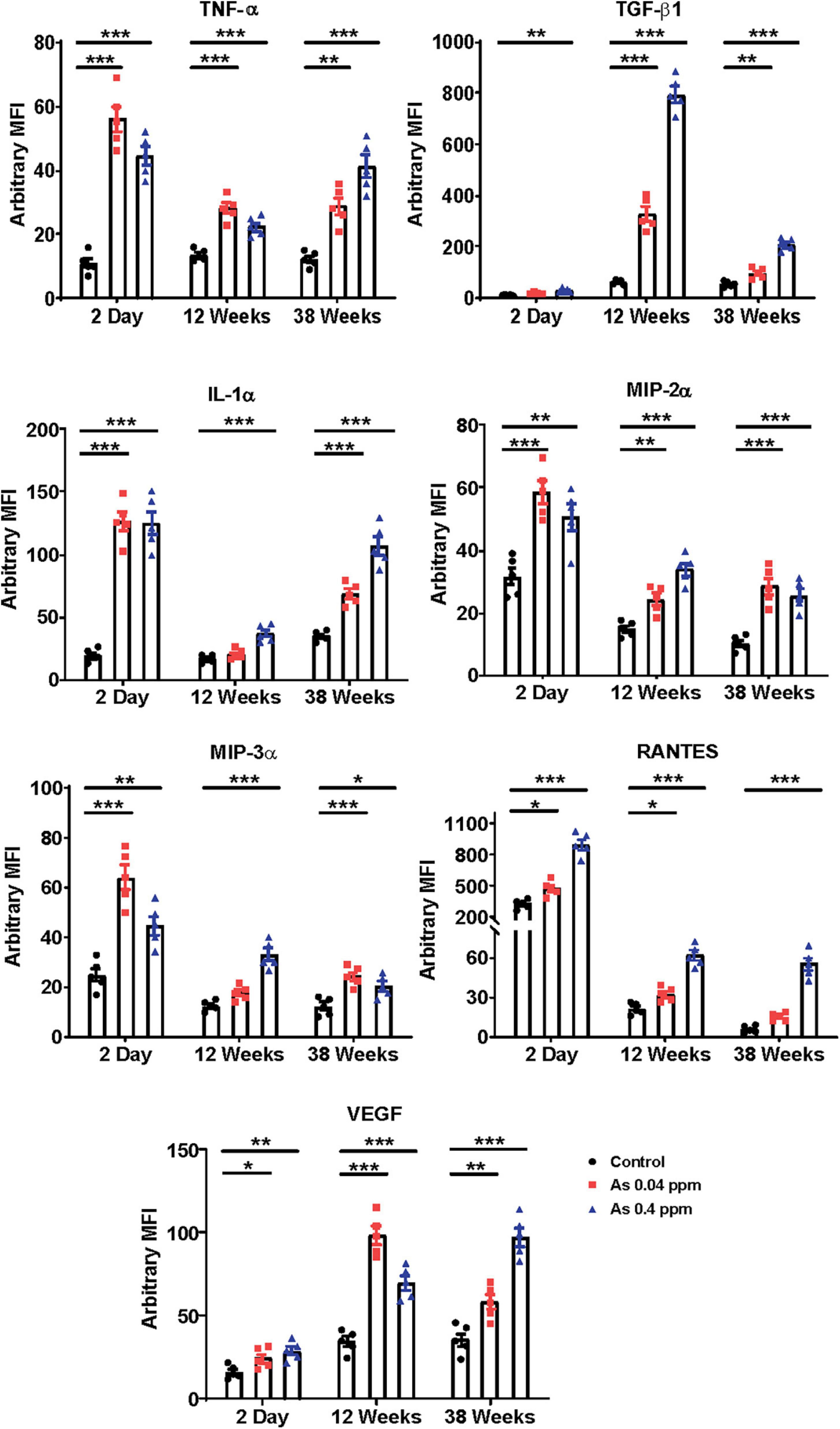 Prenatal arsenic exposure induces immunometabolic alteration and renal injury in rats